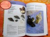 Книга "Фигурки животных из шоколада" Френсис Макнафтон - Магазин для кондитеров "Творим чудеса"