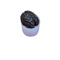Силиконовый молд 3D "Мозг" (арт. 568) - Магазин для кондитеров "Творим чудеса"