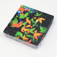 Коробка с прозрачной крышкой "Краски леса" 12х12х3 см - Магазин для кондитеров "Творим чудеса"