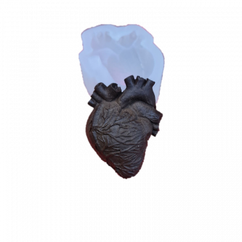 Силиконовый молд "Живое сердце" (арт. 567) - Магазин для кондитеров "Творим чудеса"